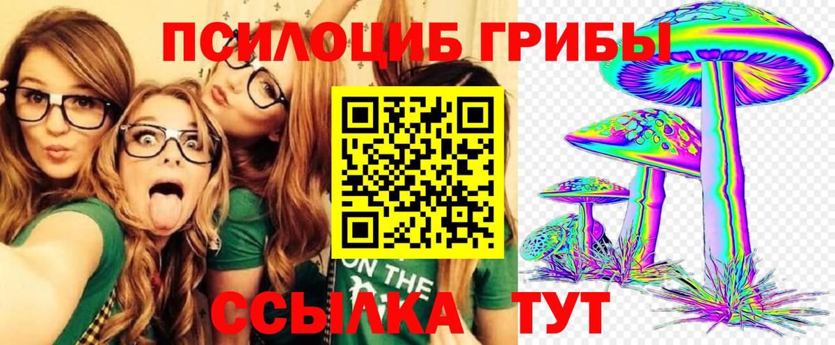 Галлюциногенные грибы мухоморы  Вход с VPN  Новокуйбышевск 