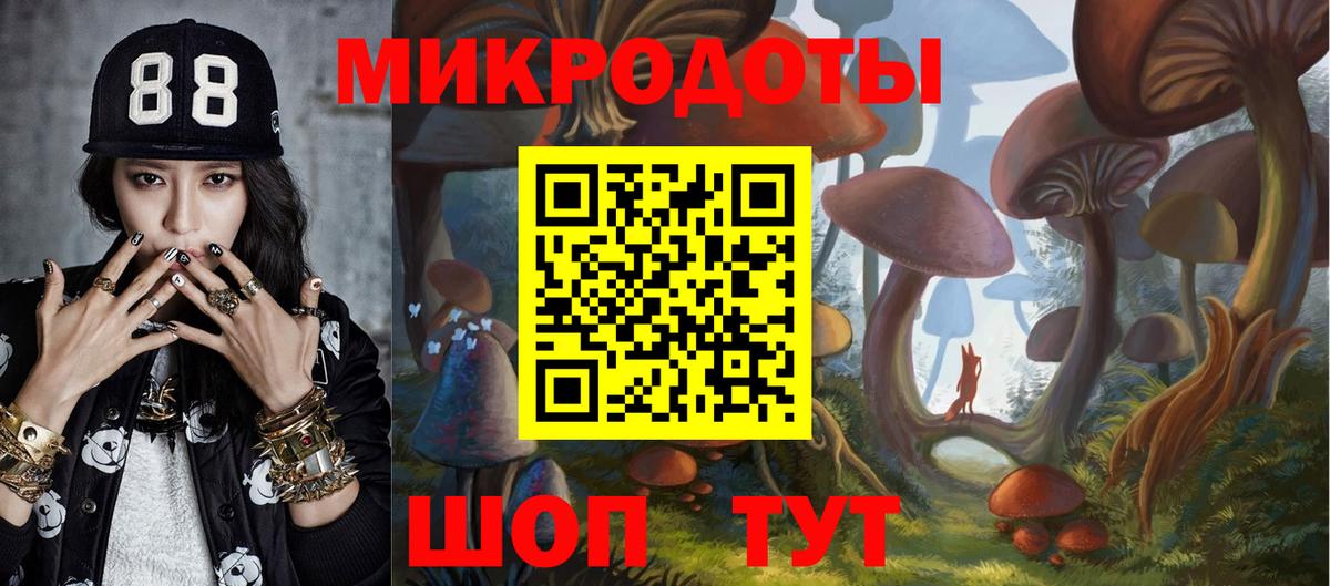 Галлюциногенные грибы Magic Shrooms Новокуйбышевск